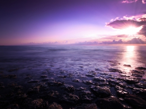Purple Seascape
